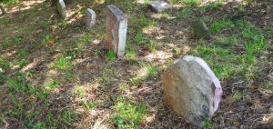 Gravestone Hagenbuch Homestead